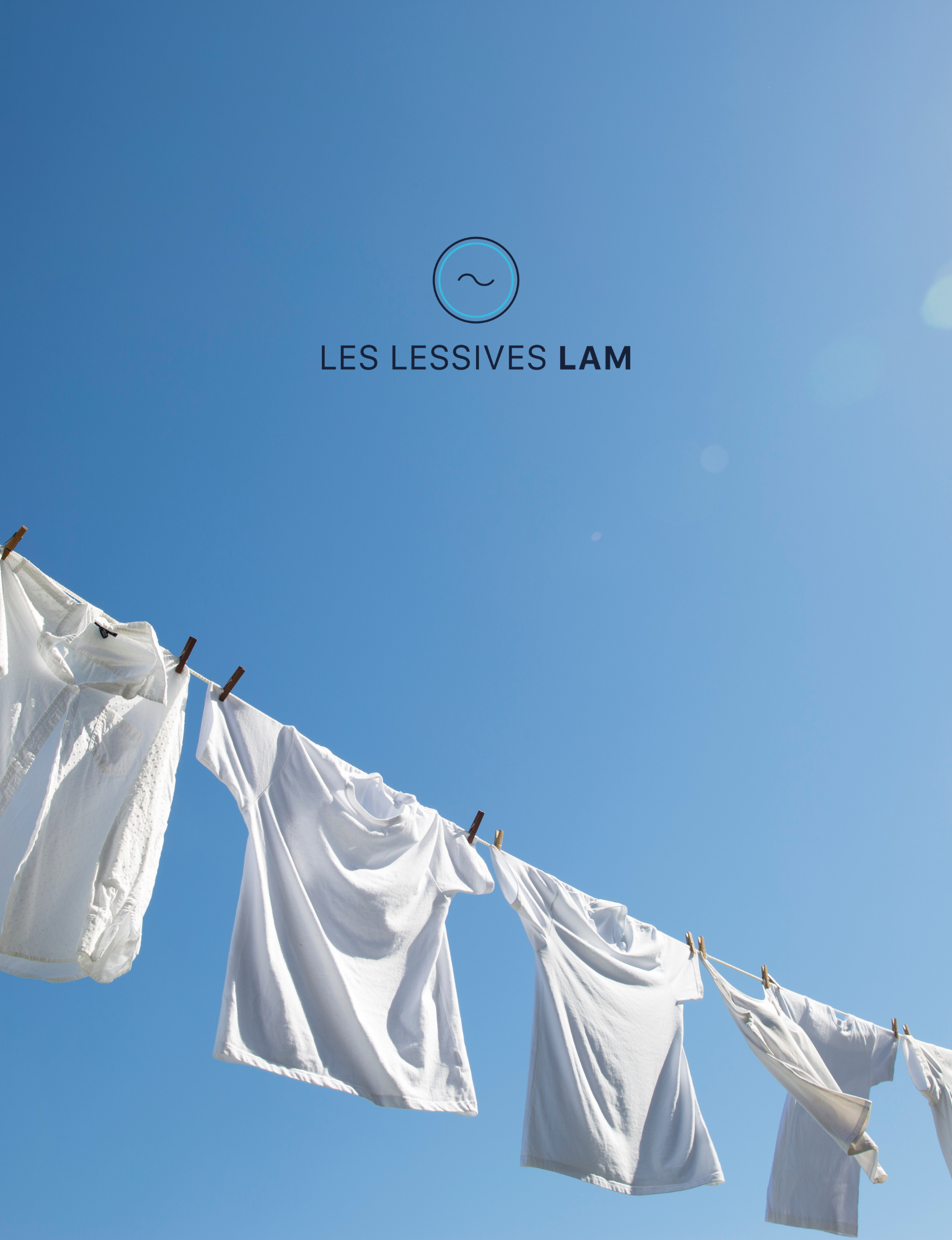 developpement-ecommerce-lessivelam